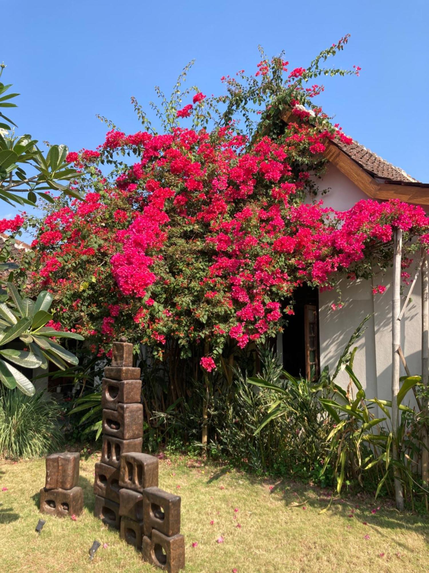 Ohmmstay - Rumah Pendopo Tanjungtirto Exterior photo